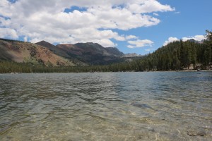 beautiful lake for fishing 